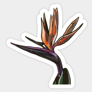 Bird of Paradise Sticker